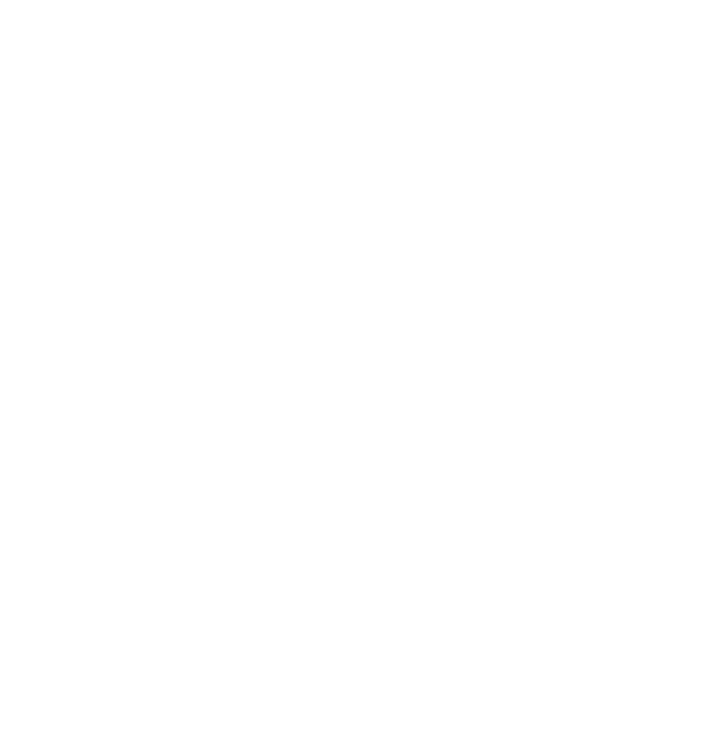 Logo LR Homes Immobilien Zweibrücken in weiß